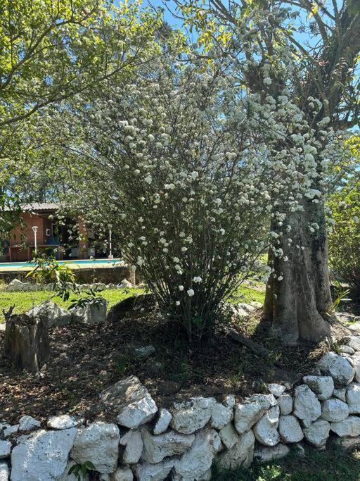 Sitio Beija Flor Em Sao Roque Villa Luaran gambar